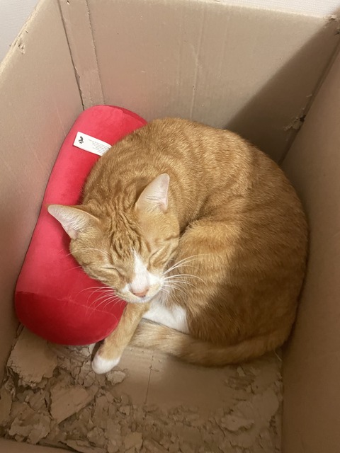 KakaoTalk_20240122_111222517_06