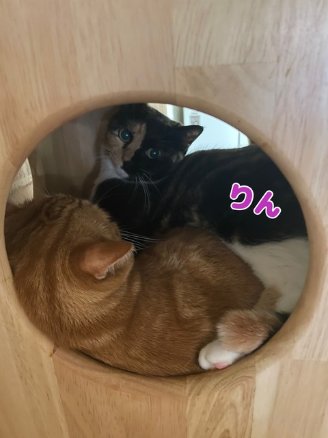 KakaoTalk_20240907_095516508_01