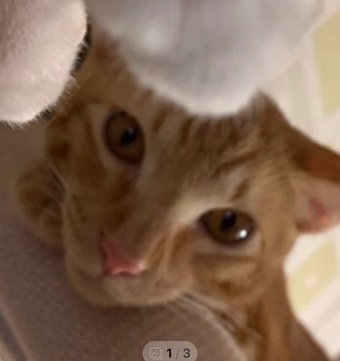KakaoTalk_20200925_105705542