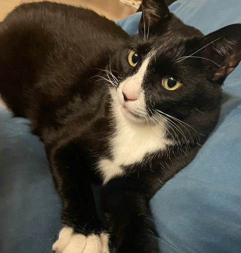 KakaoTalk_20250331_165548101