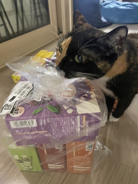KakaoTalk_20240524_113236649_02