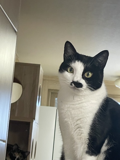 KakaoTalk_20250907_130319976