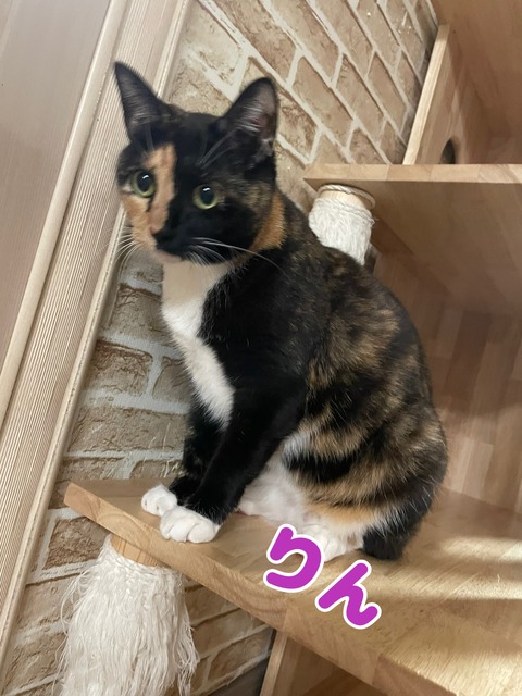 KakaoTalk_20240114_215805985