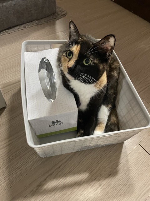 KakaoTalk_20231223_112835256_14