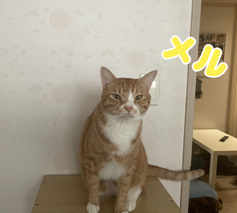 KakaoTalk_20240114_220824329