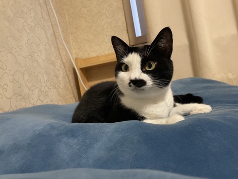 KakaoTalk_20250907_130216606