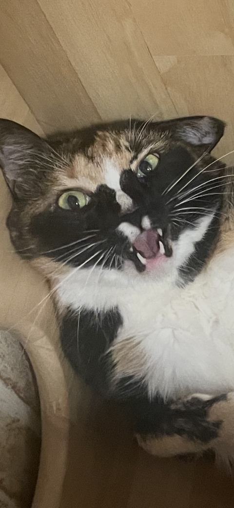 KakaoTalk_20250817_110428634_06