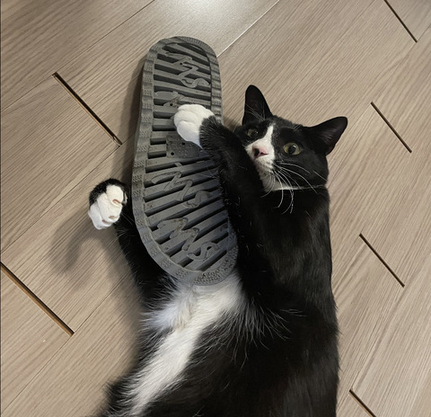 KakaoTalk_20220228_115321801