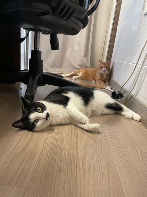 KakaoTalk_20240122_112213878