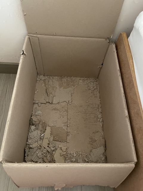 KakaoTalk_20240122_111222517_01