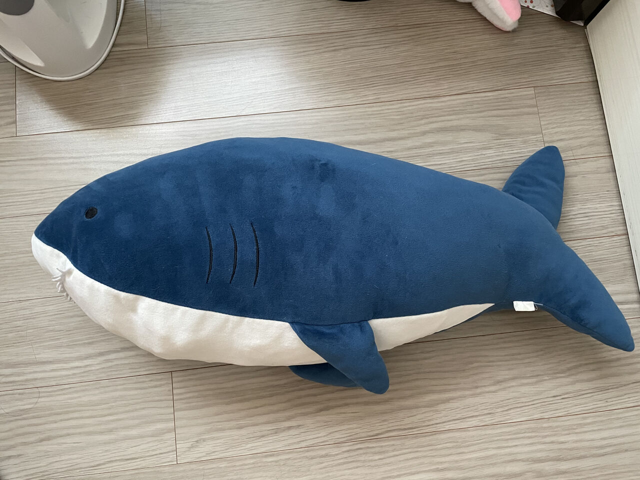 サメvsシャチ 猫に埋もれて暮らしたい サメvsシャチ 猫に埋もれて暮らしたい