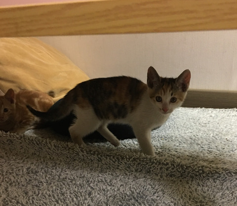 KakaoTalk_20250523_212152244_04