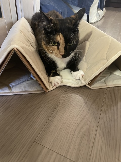 KakaoTalk_20250609_185734204_08