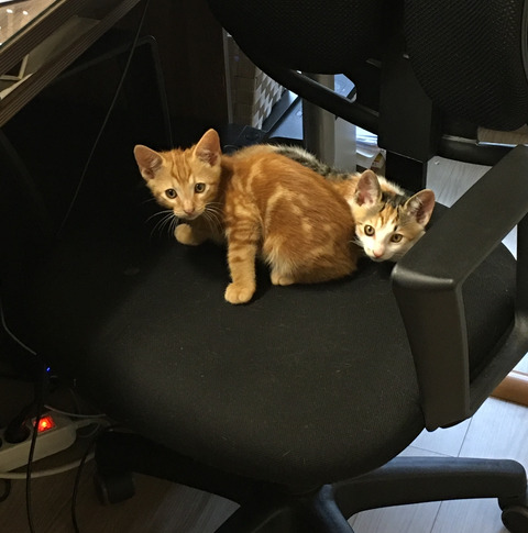 KakaoTalk_20250523_212152244