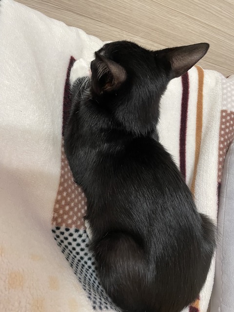KakaoTalk_20201114_105803743_04