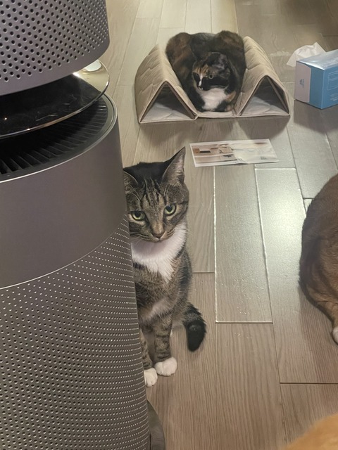 KakaoTalk_20250609_194121741_02