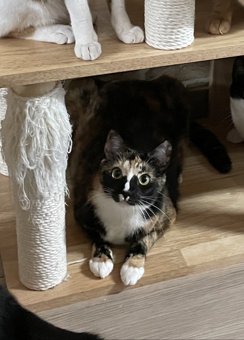 KakaoTalk_20220224_100330827_05