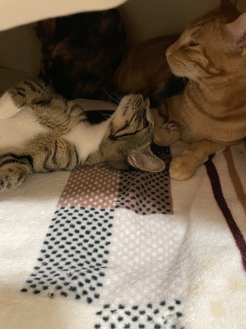 KakaoTalk_20210128_175615761