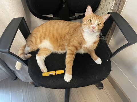 KakaoTalk_20240624_100943237_01