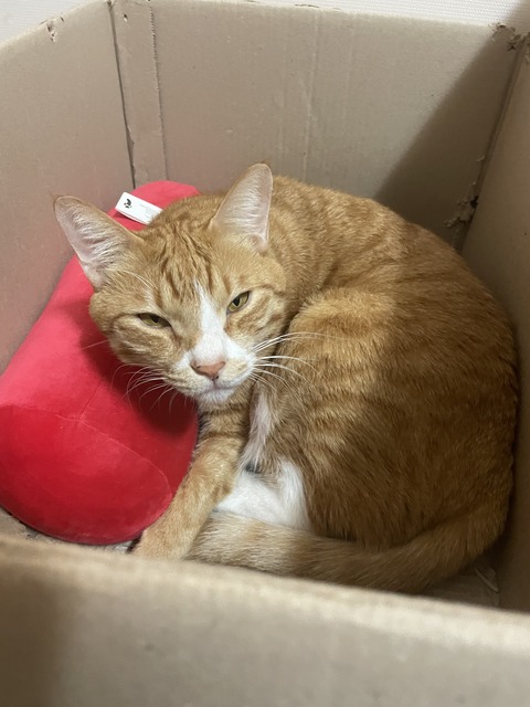 KakaoTalk_20240122_111222517_08