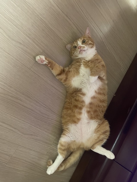 KakaoTalk_20240705_095559222_14