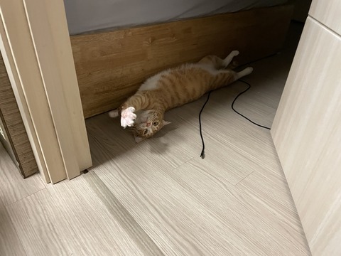 KakaoTalk_20220409_095329069