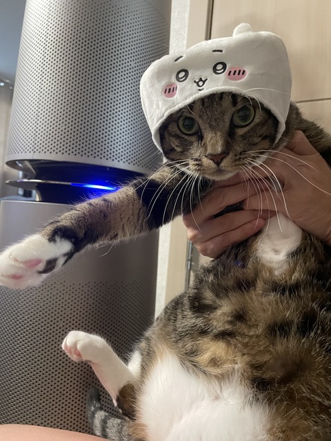 KakaoTalk_20240122_163146953_04