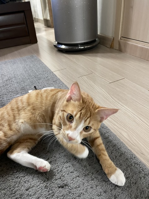 KakaoTalk_20210220_095346654