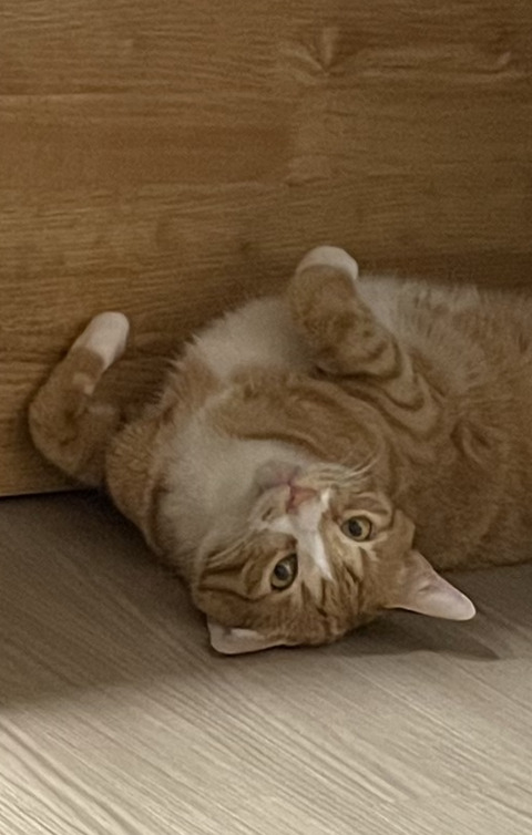 KakaoTalk_20220409_095328232