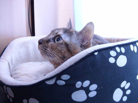 KakaoTalk_20210427_082700846