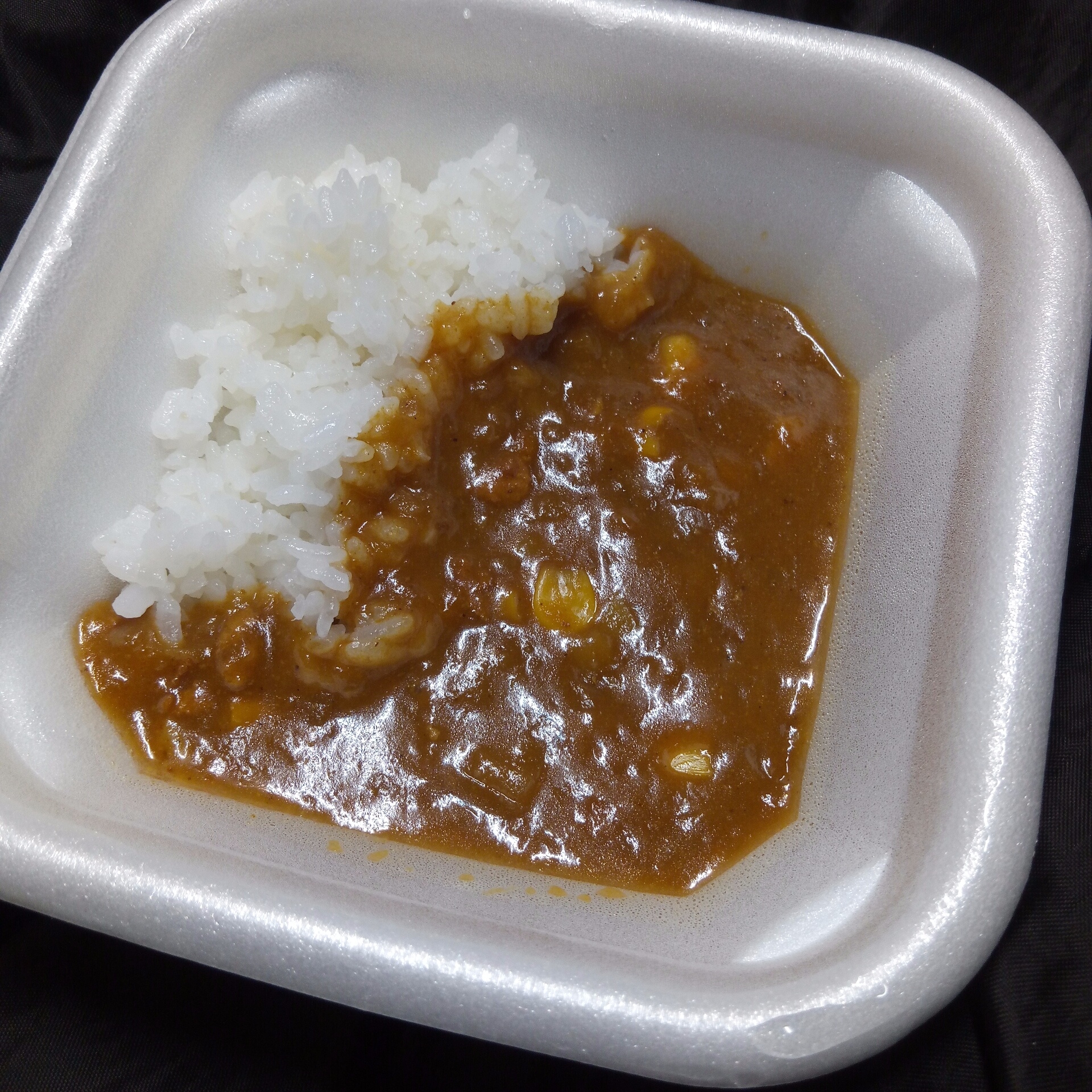 すき家のお子様カレーが好きになりました 僕と磁石と乾電池