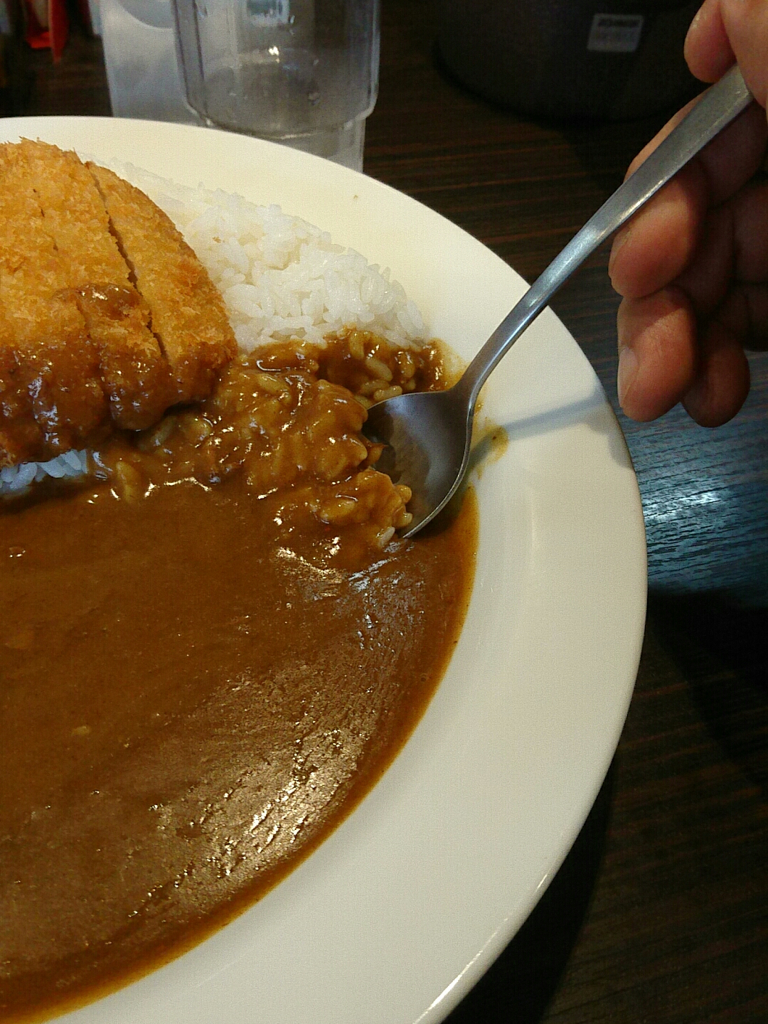 いつものロースカツカレー Coco壱番屋 僕と磁石と乾電池