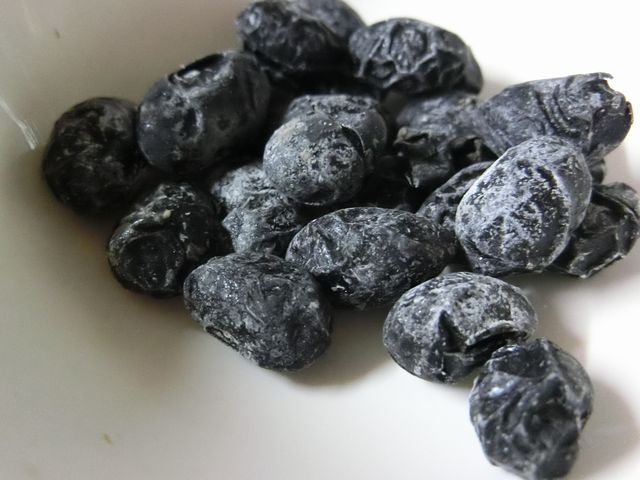 ゴリラの鼻くそを食べてみた感想 僕と磁石と乾電池