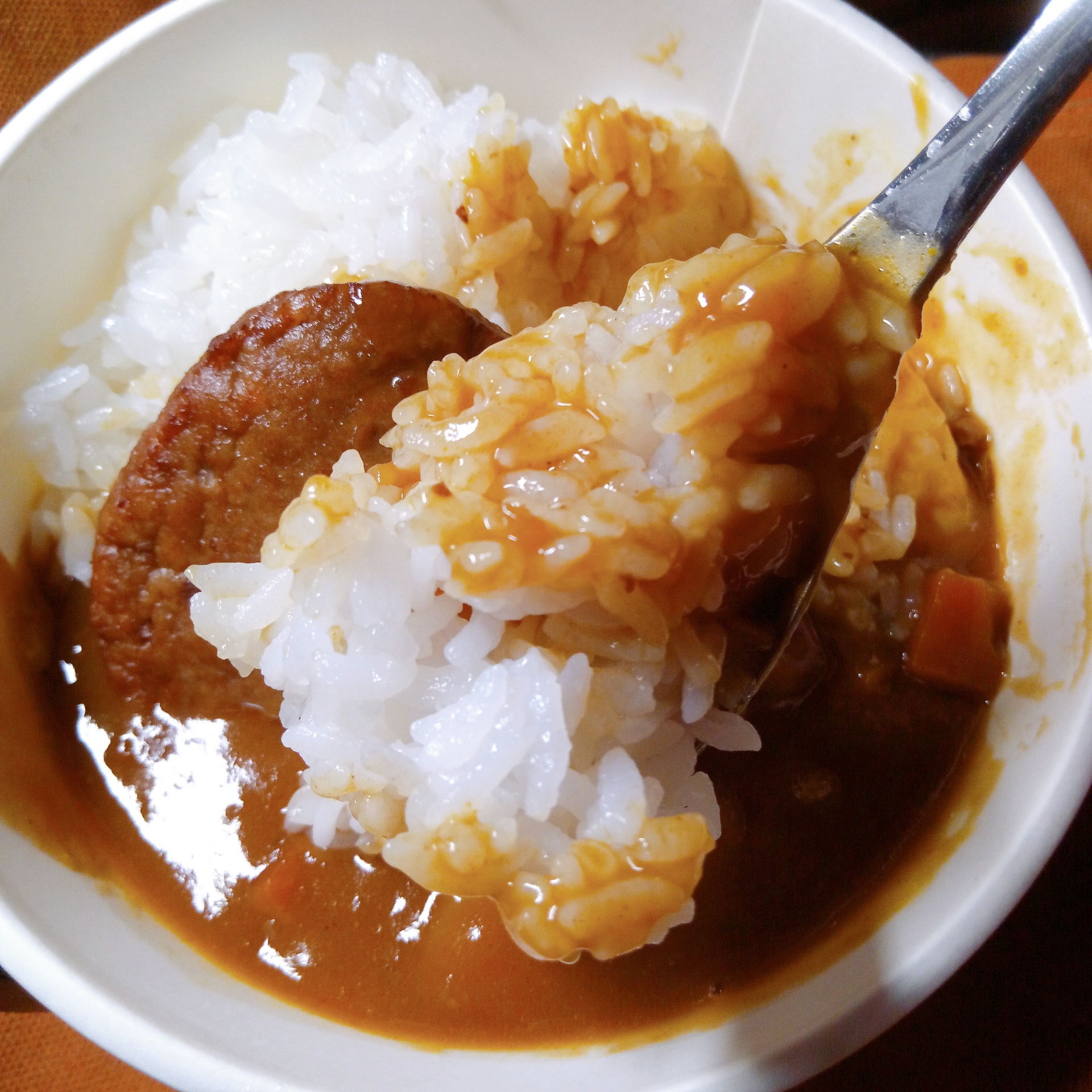 ボンカレーとマルシンハンバーグ 僕と磁石と乾電池 ボンカレーとマルシンハンバーグ 僕と磁石と乾電池