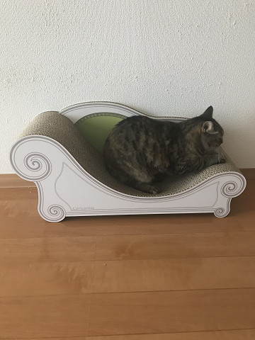 resize1008