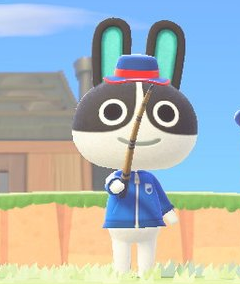 あつ森 こんなお顔の子はいるかな 猫飼いゲーム速報