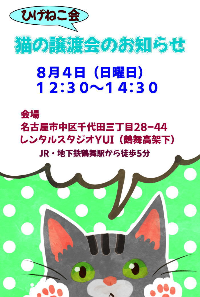 ８月４日日曜日！真夏の猫の譲渡会in名古屋開催しますよー♪