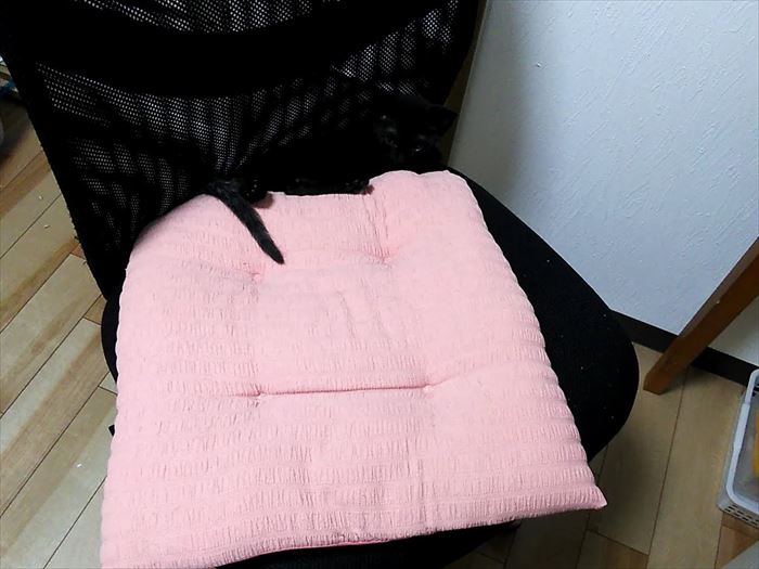 20190710_121225770_R
