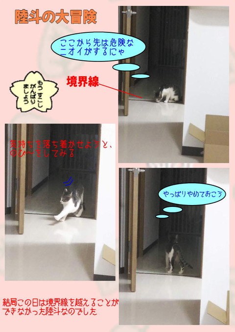 陸斗の大冒険