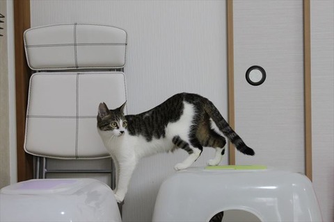 IMG_0873_R