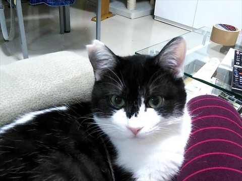 20190214_034754674_R