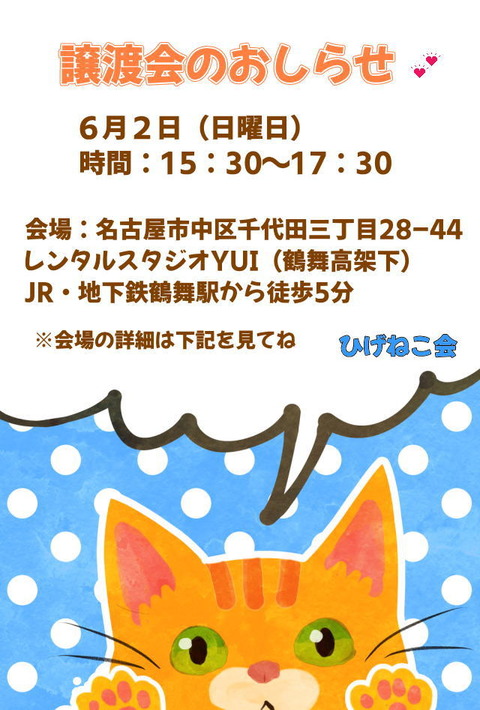 6/2（日）猫の譲渡会in名古屋！子猫だらけ～里親様お待ちしています！