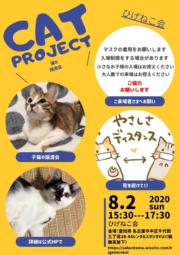 ８月２日保護猫譲渡会開催します！新型コロナ禍、感染予防にご協力を！