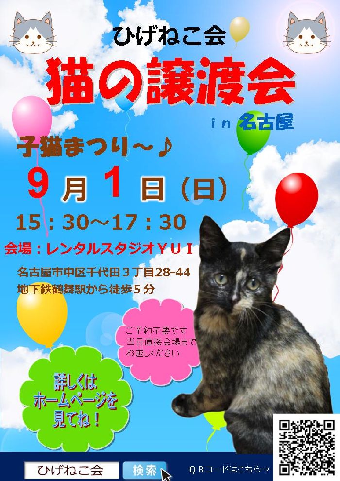 ９月１日（日）ひげねこ会猫の譲渡会ｉｎ名古屋開催！子猫だらけ～