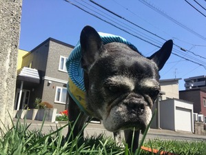IMG-6983