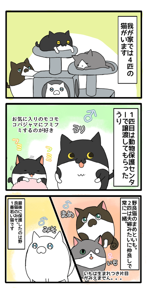 無題48_20220524144720