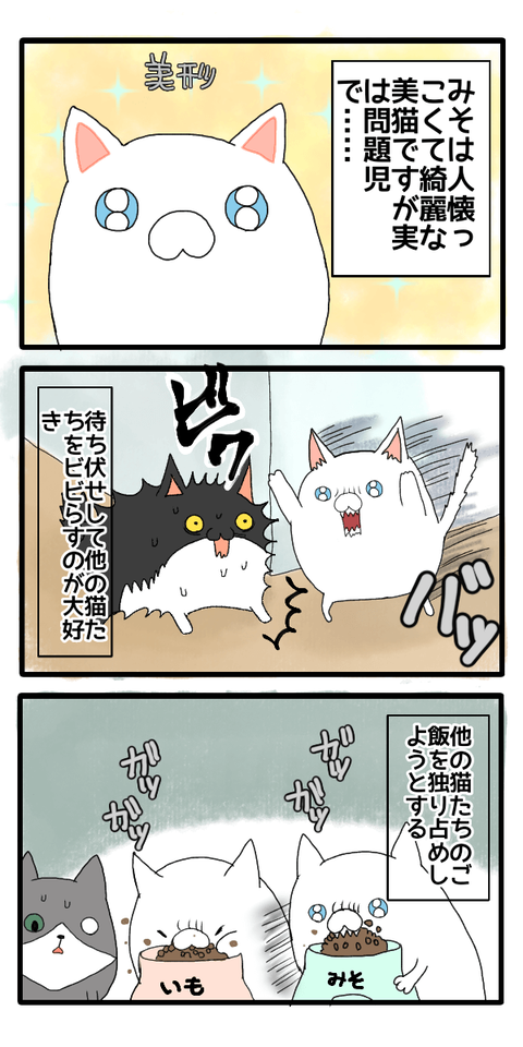無題48_20220524181524