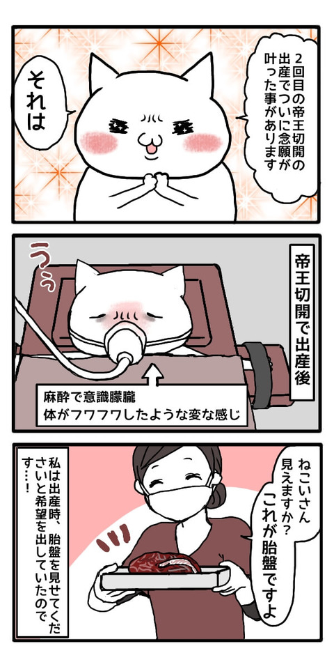 無題1_(5)[1]