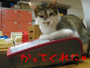BlogPaint