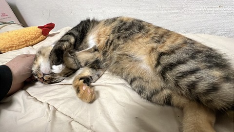 写真 2025-09-13 1 35 27